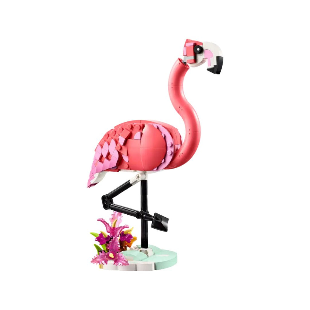 31170 LEGO Creator 3-en-1 - Animaux sauvages : flamant rose