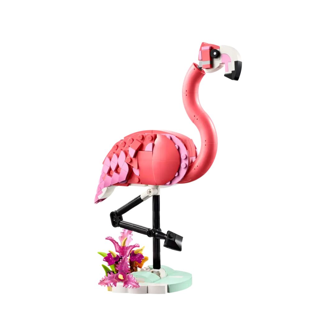31170 LEGO Creator 3-en-1 - Animaux sauvages : flamant rose