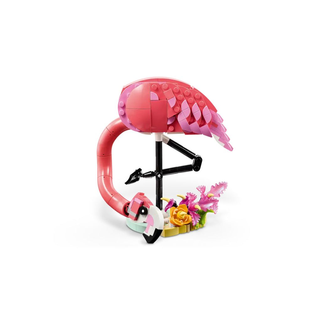 31170 LEGO Creator 3-en-1 - Animaux sauvages : flamant rose