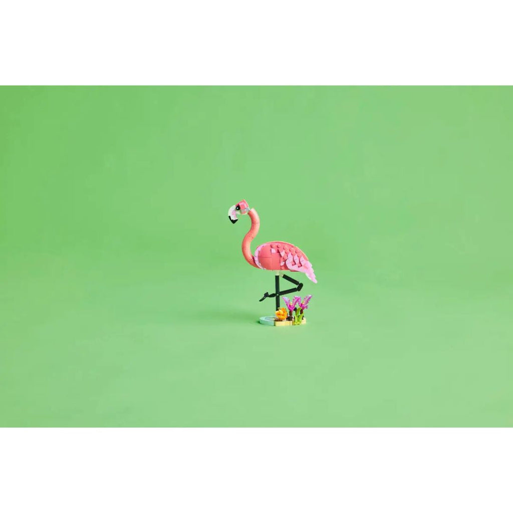 31170 LEGO Creator 3-en-1 - Animaux sauvages : flamant rose