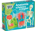 19414.8 Clementoni ANATOMIE SQUELETTE ET ORGANES