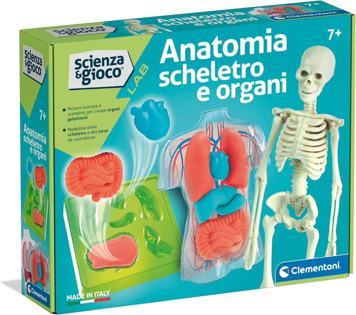 19414.8 Clementoni ANATOMIE SQUELETTE ET ORGANES