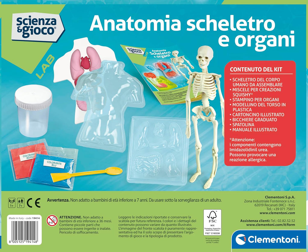 19414.8 Clementoni ANATOMIE SQUELETTE ET ORGANES