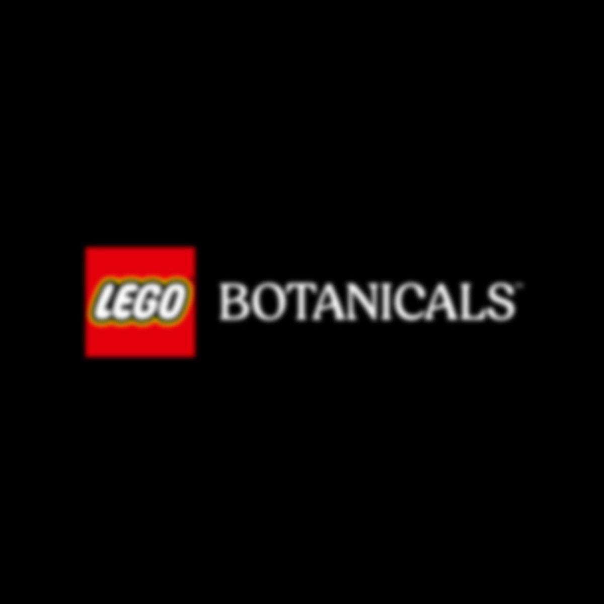 11501 LEGO Bouquet botanique de tulipes