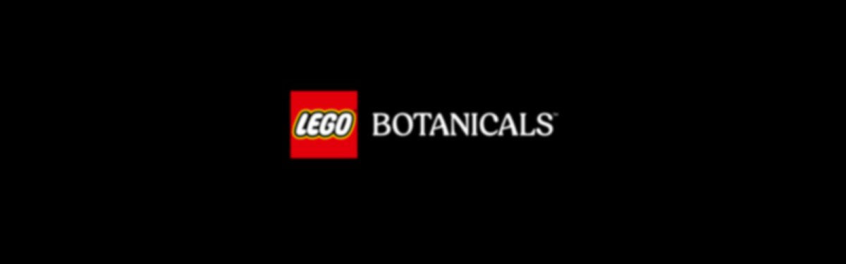 11501 LEGO Bouquet botanique de tulipes