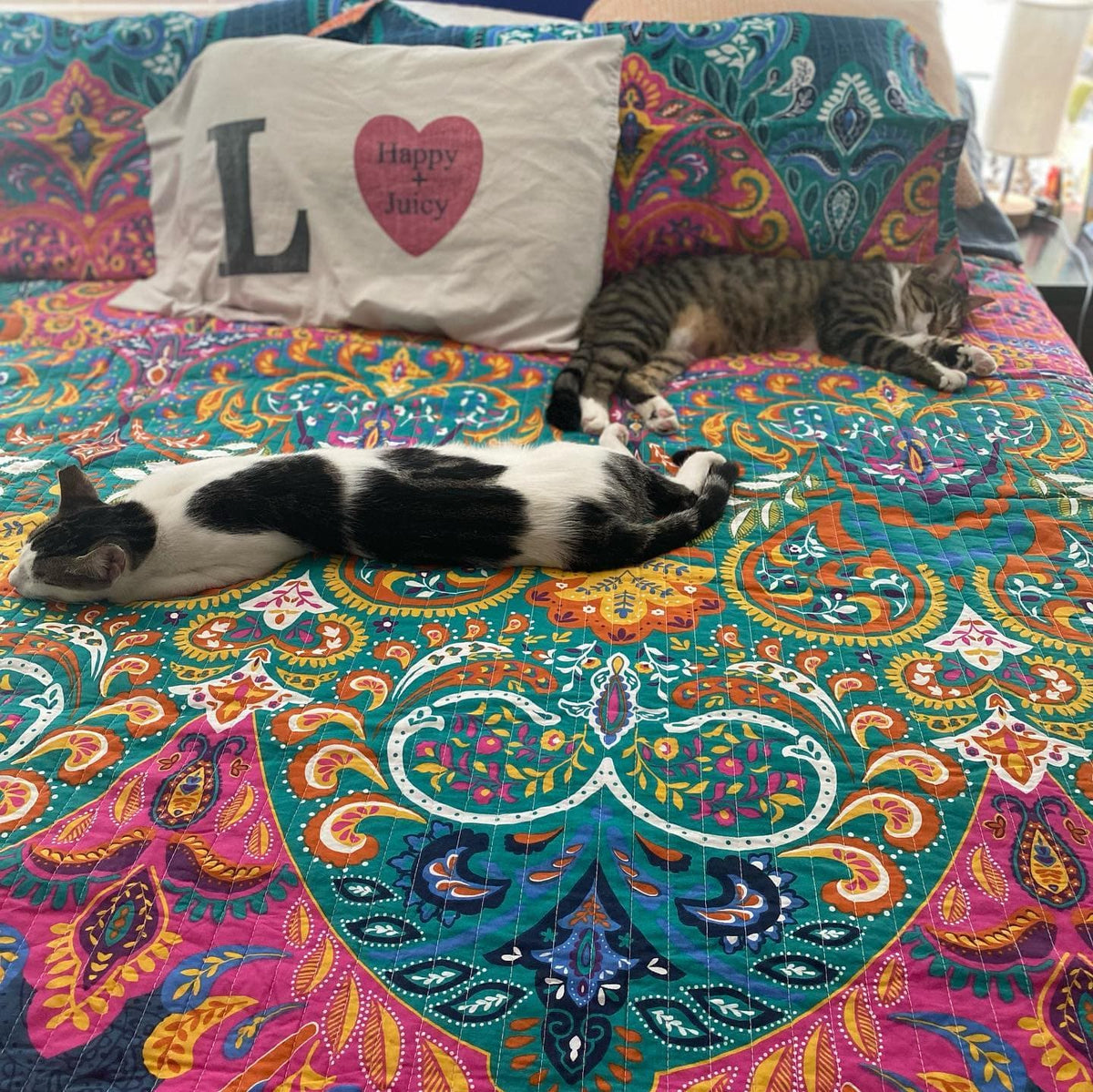 Boho Chic Quilt 3 Piece Set