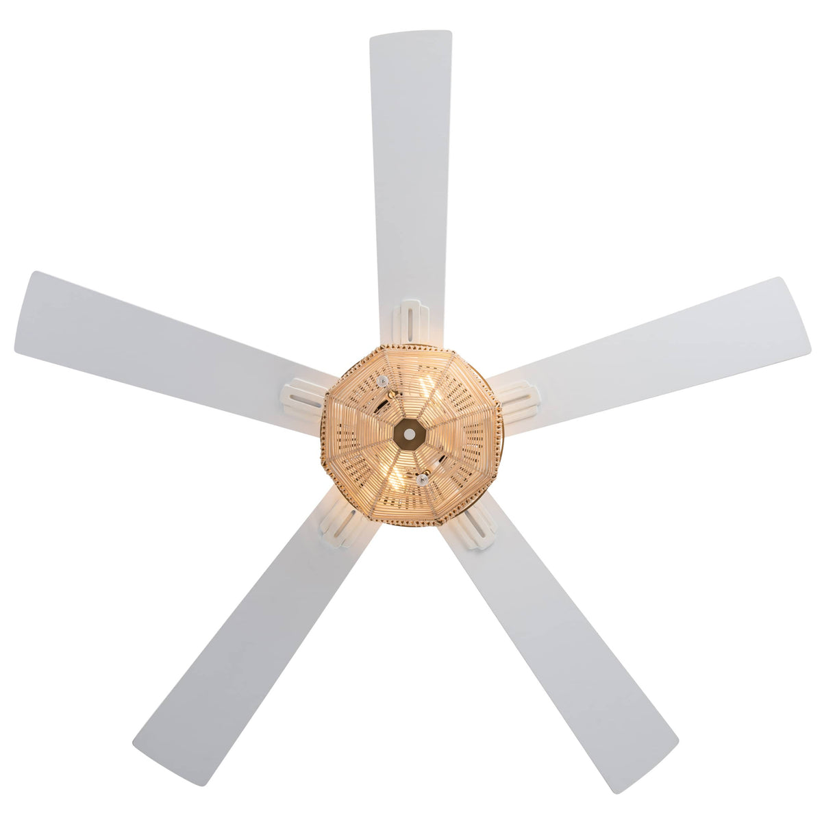 River of Goods Ceiling Fan