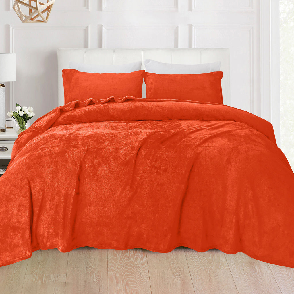 Elegant Comfort 4-Piece Velvet Plush Flannel Sheet Set