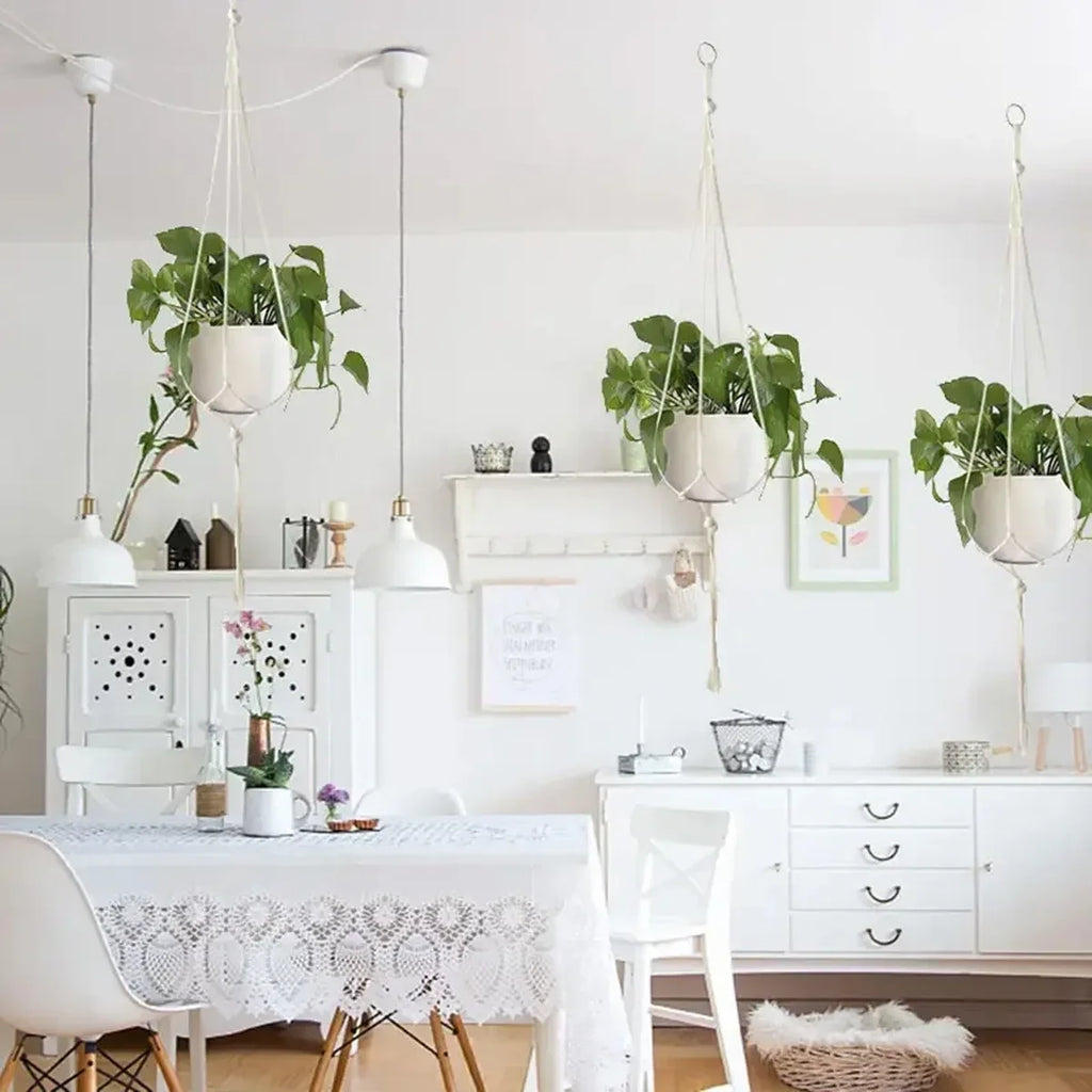 Handmade Cotton Rope Hanging Planter Holders