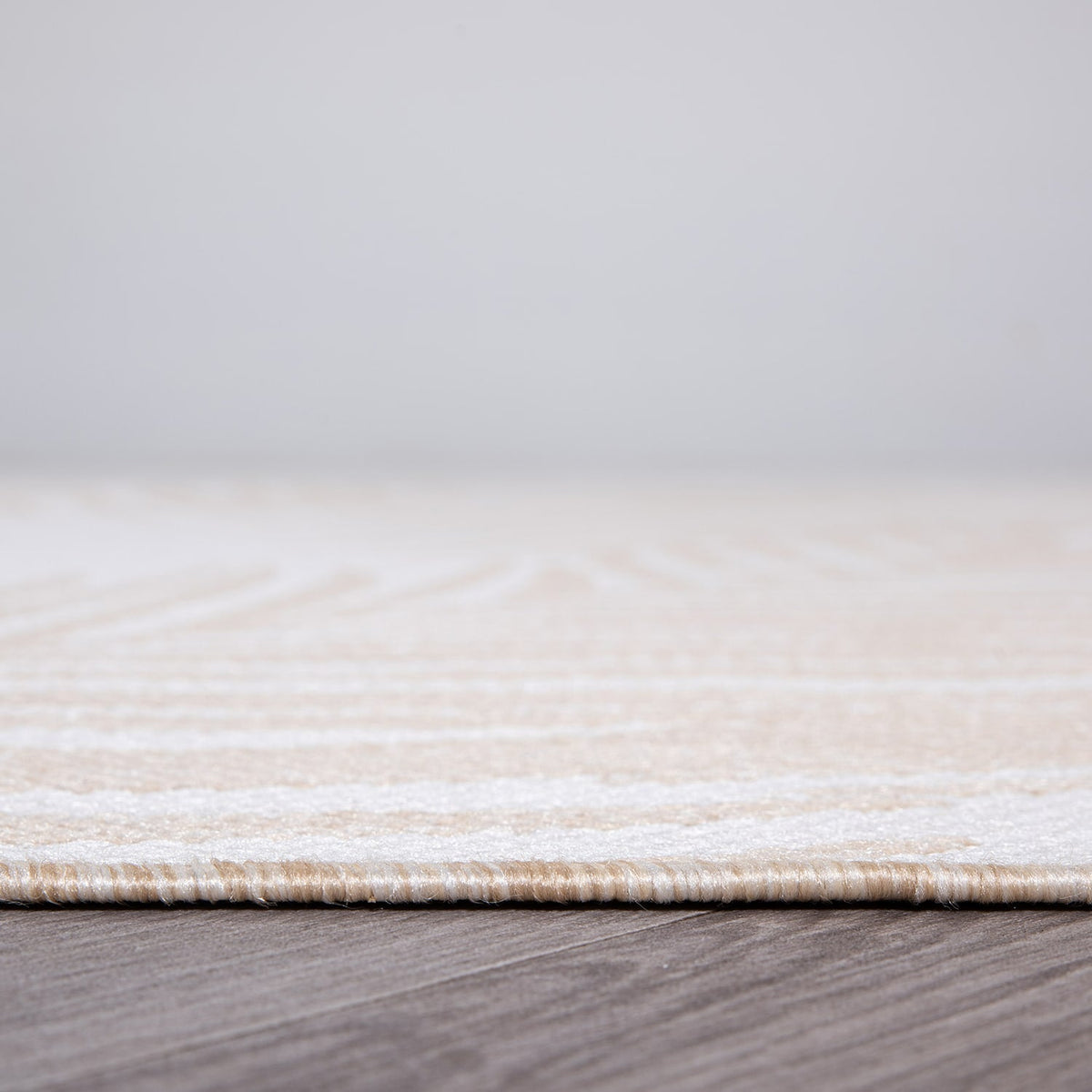 World Rug Gallery Palm Collection 5'x7'