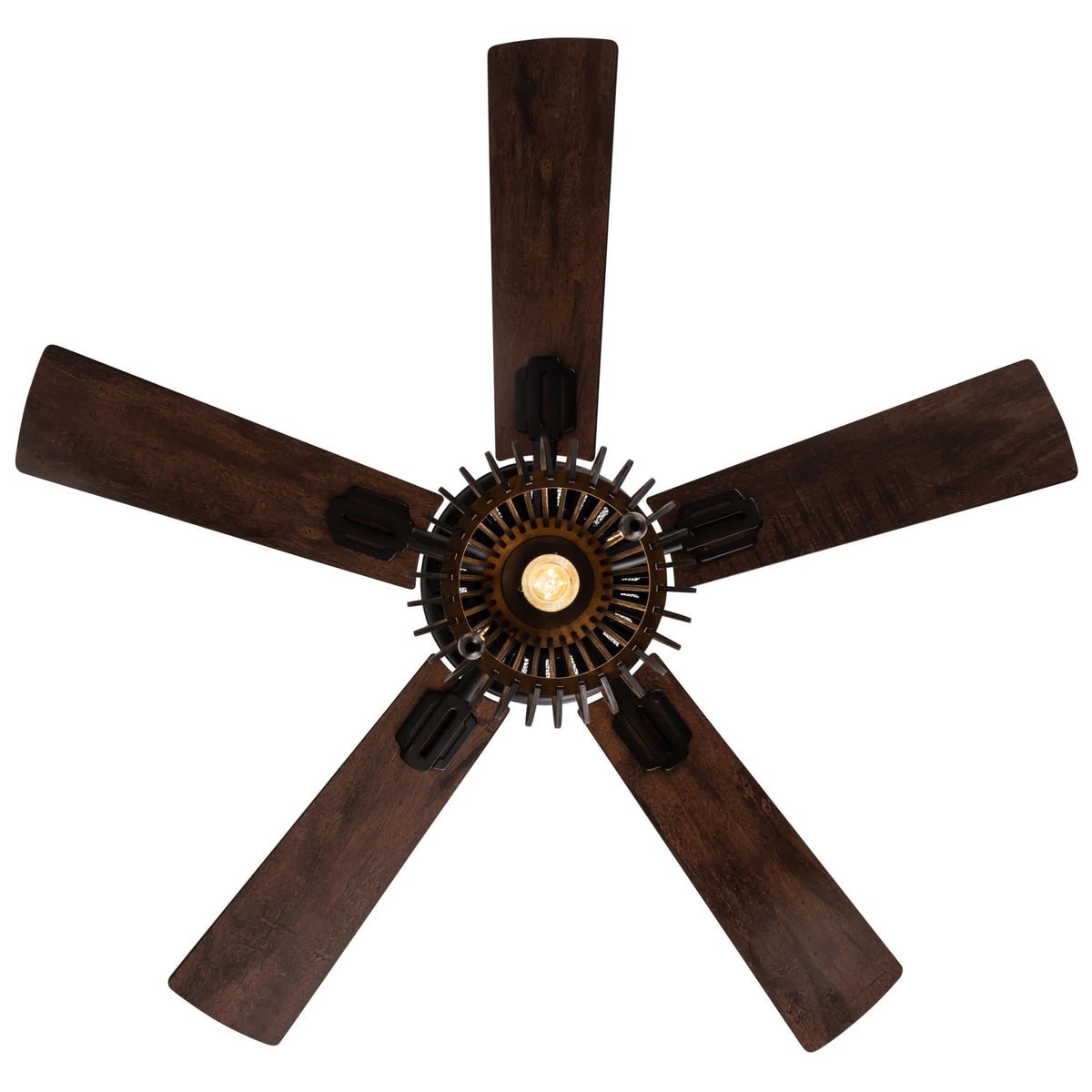 River of Goods Ceiling Fan