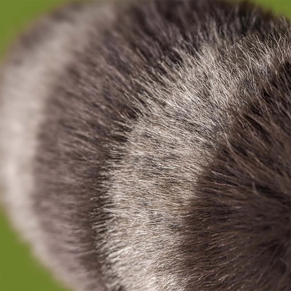 Jellycat Trixiwoo Racoon