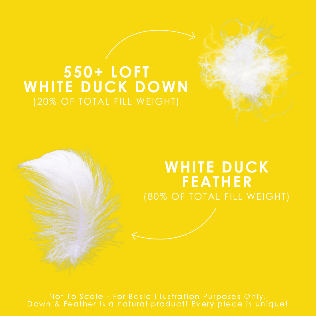 Canadian Down & Feather Company White Feather & Down Comforter, All Season Weight