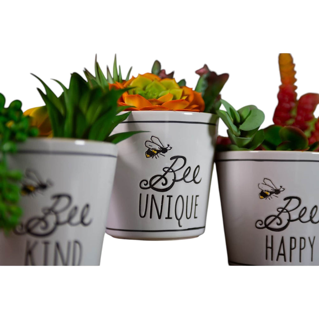Bee Buzz Planters 5", 3 Asst
