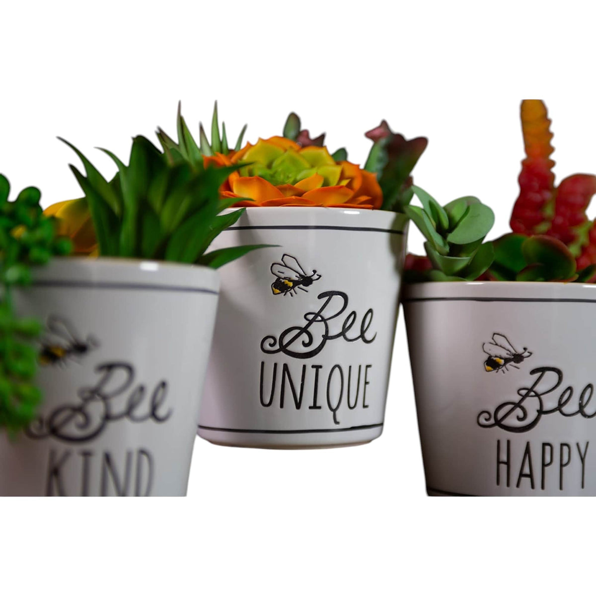 Bee Buzz Planters 5", 3 Asst
