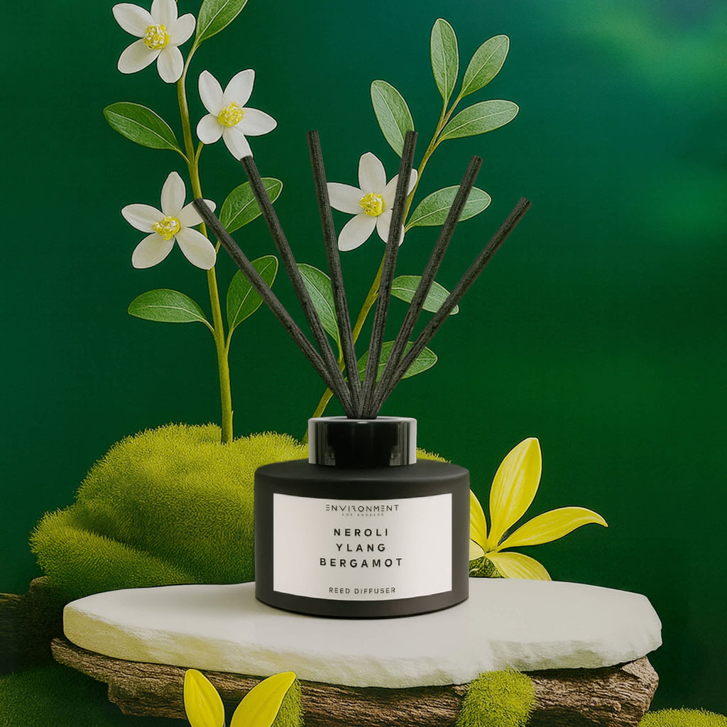 ENVIRONMENT 200mL Reed Diffuser Baies Currants Quince